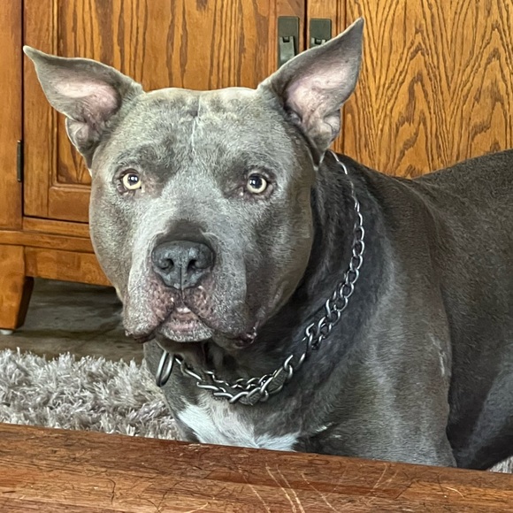 Meet your Posher, Tania - Picture 6 of 16